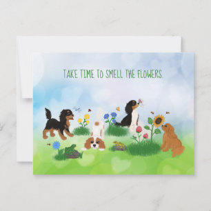 Carte Postale Quatre Espagnols Cavaliers dans un champ de fleurs