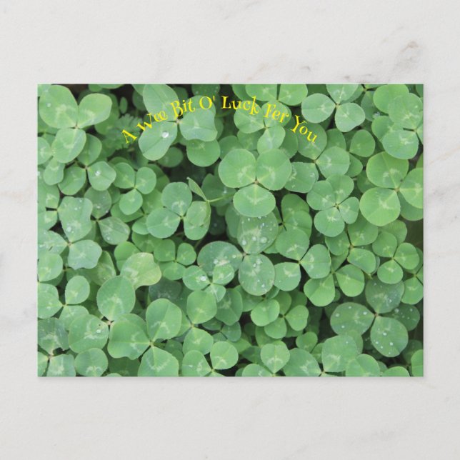 Carte Postale quatre feuilles de trèfle (Devant)