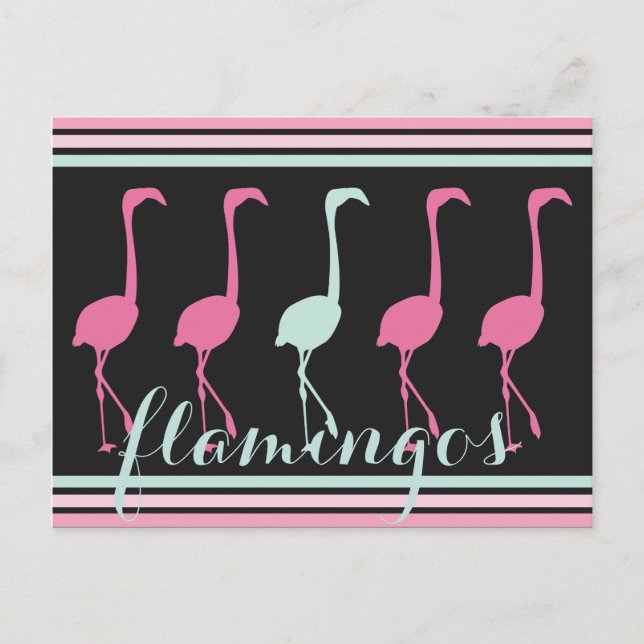 Carte Postale Quatre Flamants roses roses un bleu clair (Devant)