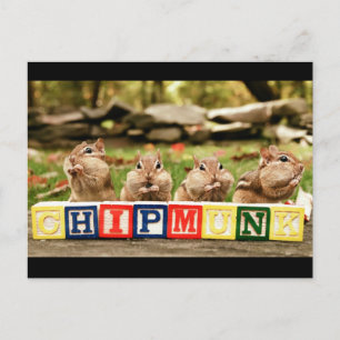 Carte Postale quatre mignonettes