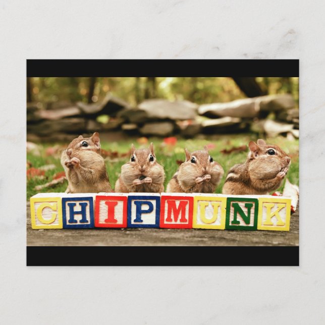 Carte Postale quatre mignonettes (Devant)