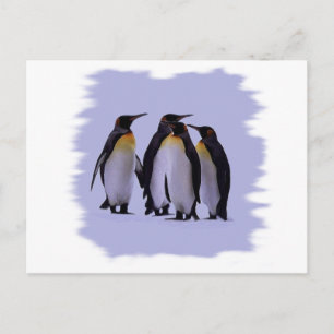 Carte Postale Quatre pingouins