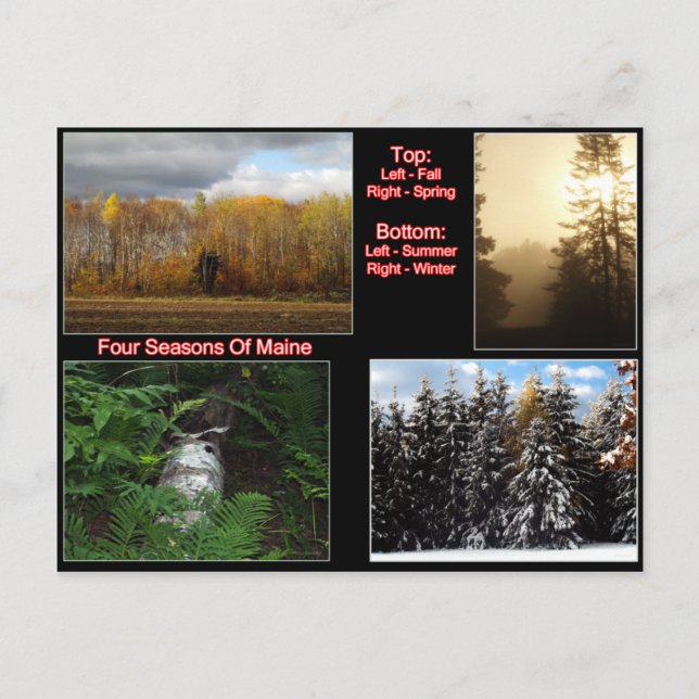Carte Postale Quatre Saisons Du Maine (Devant)