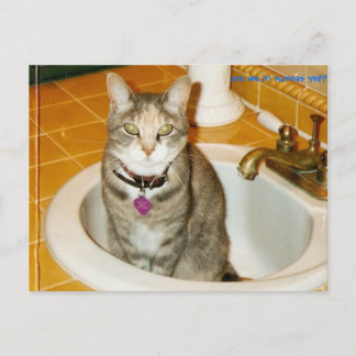 Carte Postale que penses-tu que je veuille ?