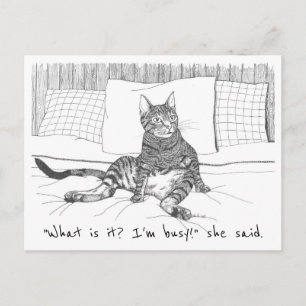 carte postale: "Que voulez-vous ?" (Lily)