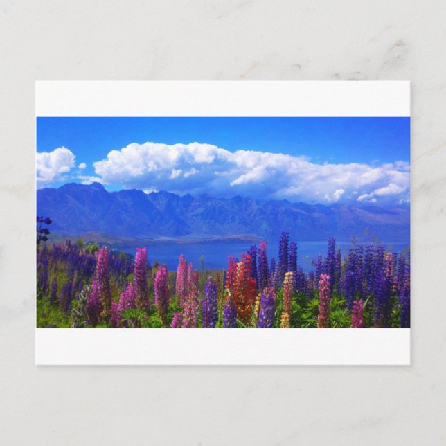 Carte Postale Queenstown Nouvelle Zélande de loup au-dessus du (Devant)