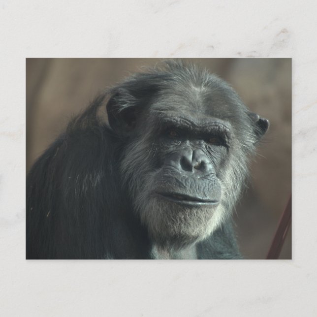 Carte Postale Quel visage ? (Devant)