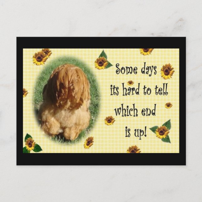 Carte Postale Quelle fin ! (Devant)