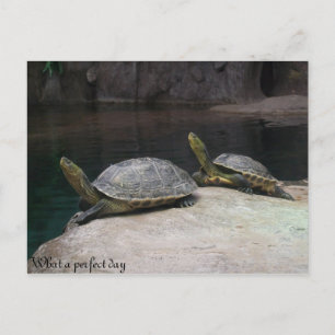 Carte Postale Quelle journée parfaite