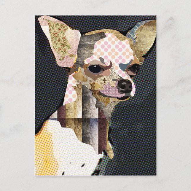 Carte Postale Quem não ama Chiuaua ? (Devant)