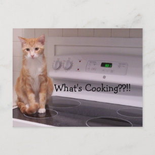 Carte Postale Qu'est-ce que la Cuisine ? ? ! !