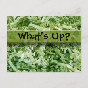 Carte Postale Qu'est-ce que la photo de papier vert froissé et d