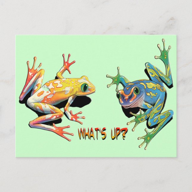Carte Postale Qu'est-ce que les grenouilles (Devant)