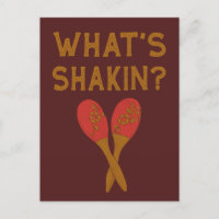 Qu'est-ce que Shakin Vintage Style Maracas
