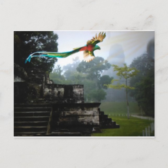 Carte Postale Quetzel à Tikal (Devant)