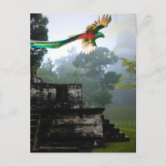 Carte Postale Quetzel à Tikal