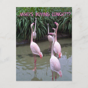 Carte Postale Qui achète le déjeuner ?
