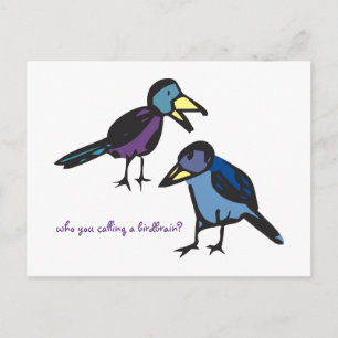 Carte Postale qui est-ce que vous appelez un cerveau d'oiseaux ?