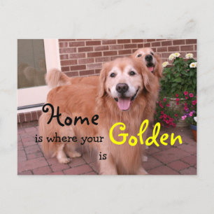 Carte Postale Quote de maison Golden Retriever