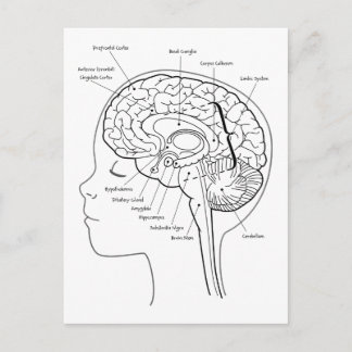 Carte Postale Qu'y a-t-il dans votre cerveau