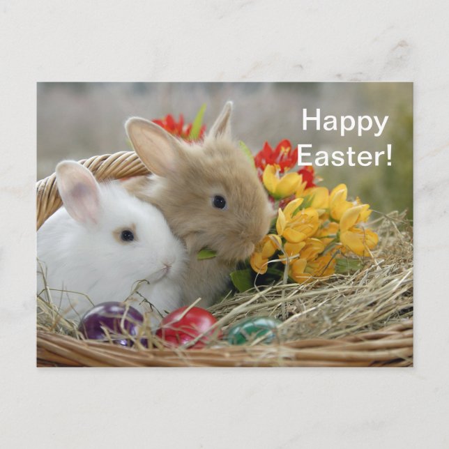 Carte postale Rabbit 9 Pâques (Devant)