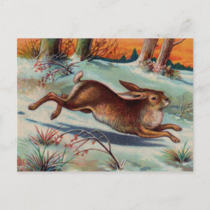 Carte postale Rabbit décembre