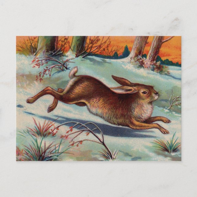 Carte postale Rabbit décembre (Devant)