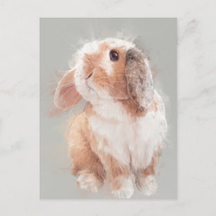 Carte postale Rabbit No.30