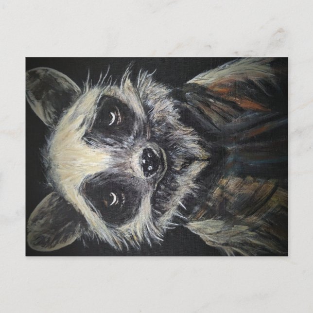 Carte postale Raccoon (Devant)