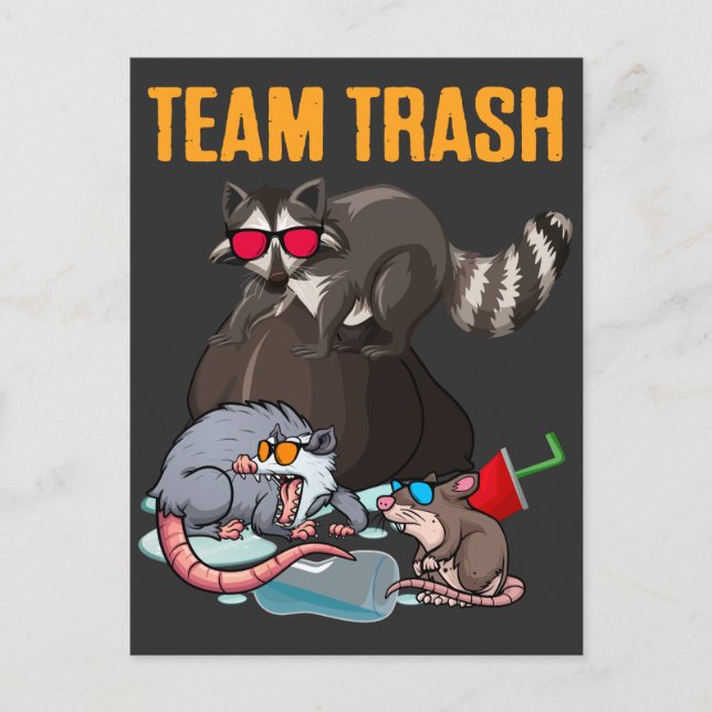 Carte Postale Raccoon Rat Trash Panda poubelle Humour animal (Devant)