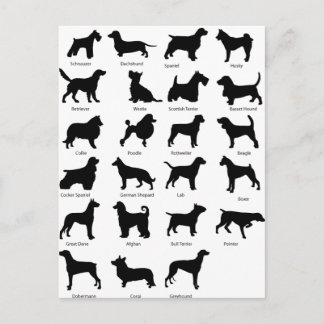 Carte Postale Races de chien
