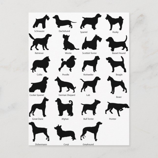 Carte Postale Races de chien (Devant)