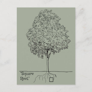 Carte Postale Racine carré