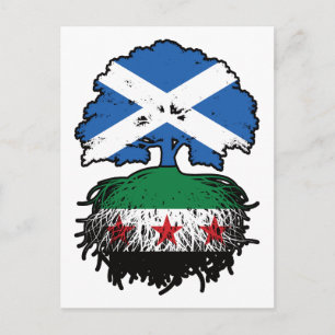 Carte Postale Racines & Couronne : Arbre Syrie-Écosse