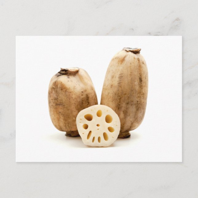 Carte Postale Racines de lotus (Devant)