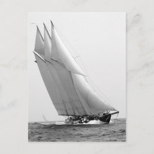 Carte Postale Racing Yacht Atlantic, 1904