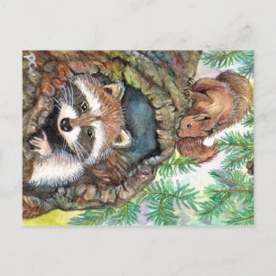 Carte Postale Racoon Dans Le Trou De L'Arbre Avec Écureuil