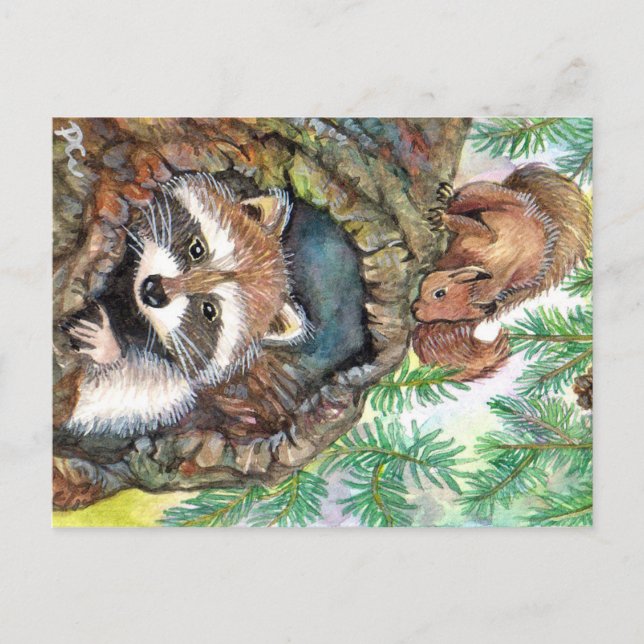 Carte Postale Racoon Dans Le Trou De L'Arbre Avec Écureuil (Devant)
