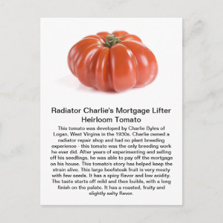 Carte Postale Radiateur Charlie - tomate d'héritage de poussoir