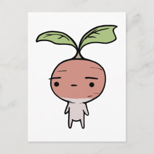 Carte Postale Radish