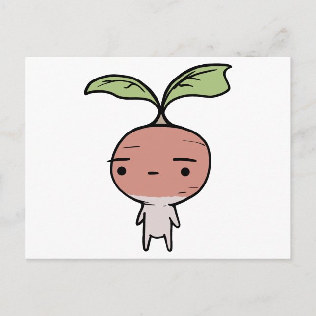 Carte Postale Radish (Devant)