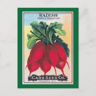 Carte Postale Radish Seed Packet