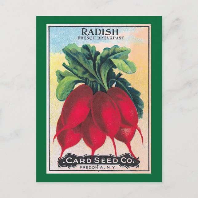 Carte Postale Radish Seed Packet (Devant)