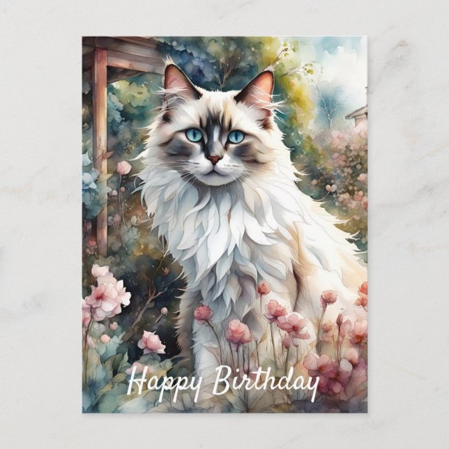 Carte Postale Ragdoll Chat en anglais Jardin Anniversaire (Devant)