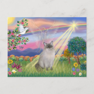 Carte Postale Ragdoll Chat (Point Bleu) - Angel Cloud
