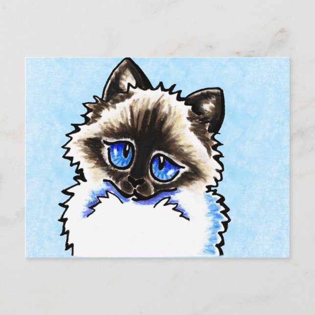Carte Postale Ragdoll Ragamuffin Illustré (Devant)
