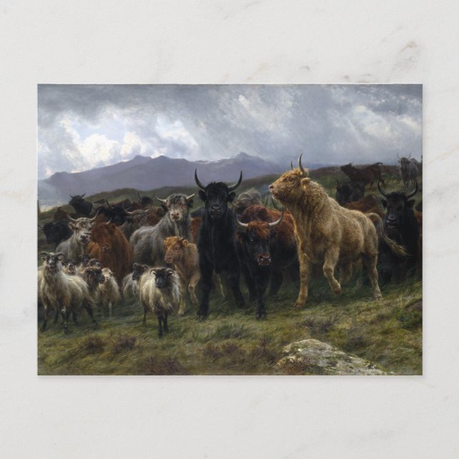 Carte Postale Raid Rosa Bonheur Highland (Devant)