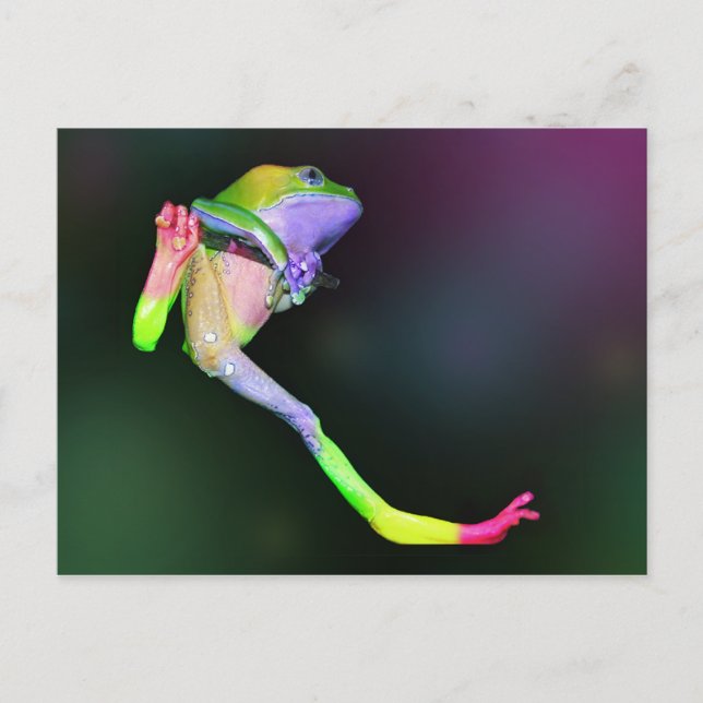 Carte postale Rainbow Frog (Devant)