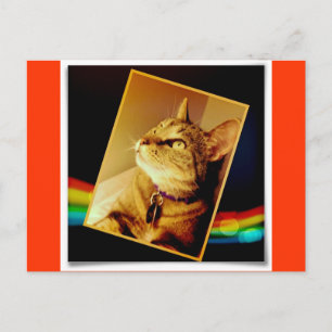 Carte Postale Rainbow Indigo