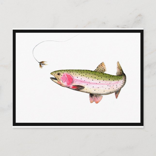 Carte Postale Rainbow Trout Fly (Devant)